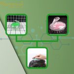 luoc-goi-dau-silicon-kanaval-goi-dau-luu-thong-mach-mau-nho-gon-tien-loi (2)